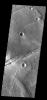 This image from NASA's Mars Odyssey shows a portion of Sirenum Fossae. The linear features are tectonic graben. Graben are formed by extension of the crust and faulting.