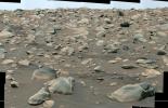 The Mastcam-Z imager on NASA's Perseverance rover captured a series of images on July 6 that were stitched together to show a field of boulders deposited in Jezero Crater by a fast-moving ancient river.