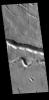 This image from NASA's Mars Odyssey shows sections of two of the many channel forms found radial to the Elysium Mons volcanic complex.