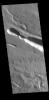 This image from NASA's Mars Odyssey shows a section of one of the many channel forms found radial to the Elysium Mons volcanic complex.