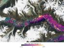 A SWOT data visualization shows high water levels on the northern side of Greenland's Dickson Fjord on Sept. 17, 2023. A huge rockslide into the fjord led to a tsunami.